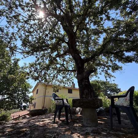Le3sorelle Nyaraló Monterosi